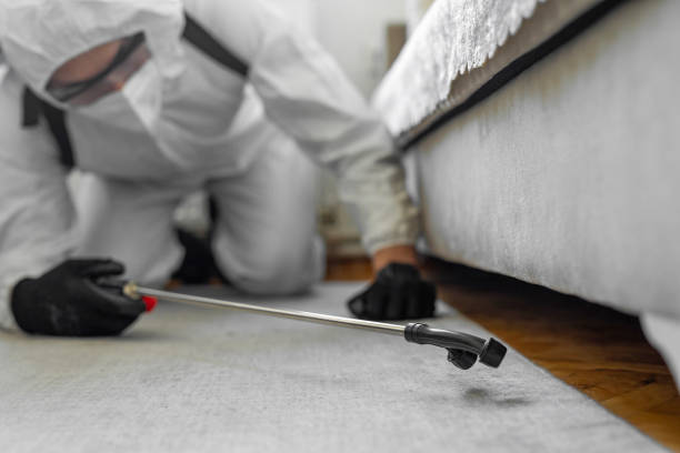 Professional Termite Control technician working in Decorah, IA