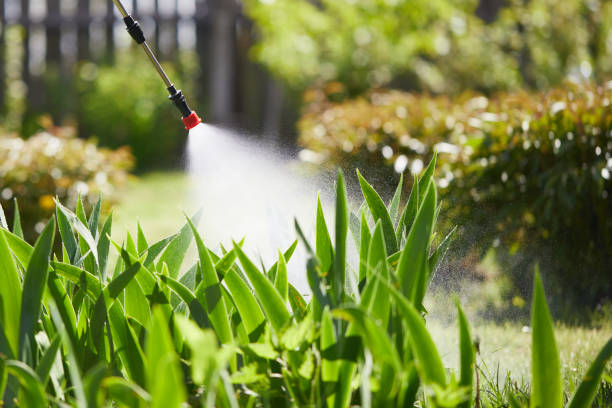 24/7 Emergency Termite Control experts in Decorah, IA